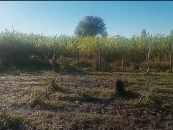 ⚠️vendo terreno villa oliva!, foto 2