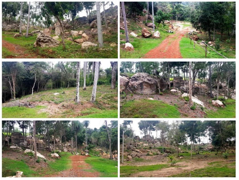El Chorro Tobateño — foto 2