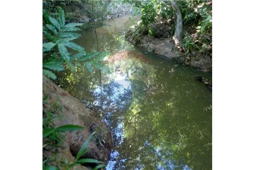 Terreno-Venta-PY Caaguazú COD.97, foto 4