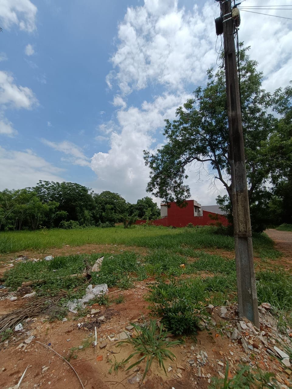 3 Terrenos Juntos En Luque, Laurelty - Lla6630820, foto 4