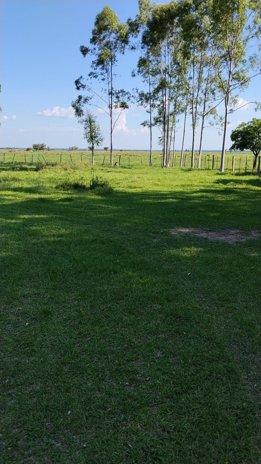 Estancia/campo de 2.880.694 m2 en arroyos y esteros en venta, foto 5