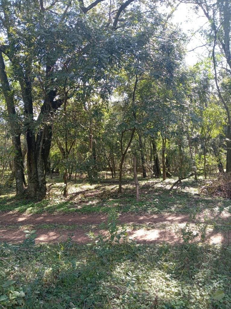 En venta terreno en altos – cordillera, paraguay, foto 1