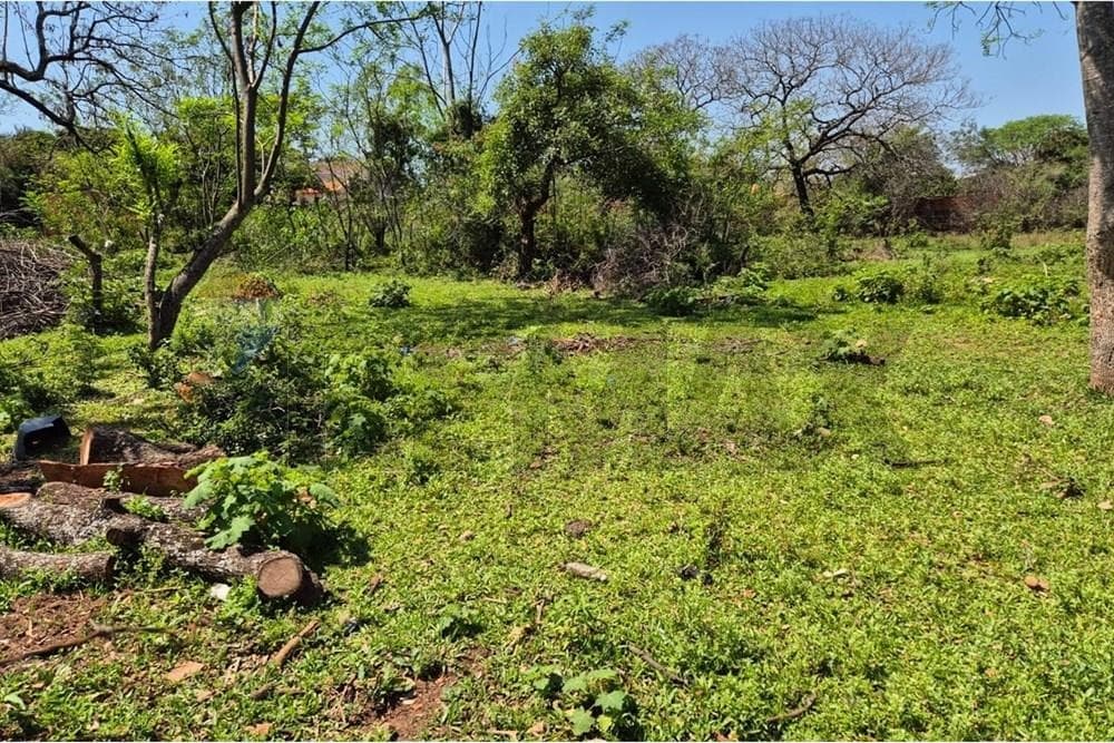 Terreno - Venta, foto 3