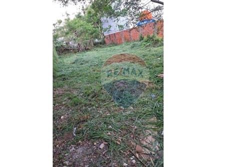 Terreno en Lambaré, foto 4