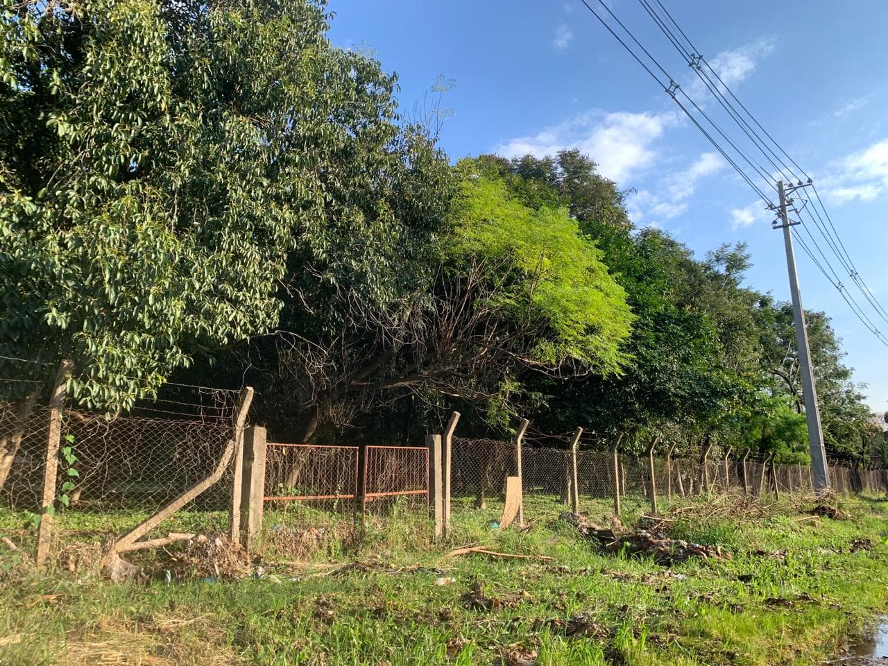 Vendo amplio terreno en Luque!