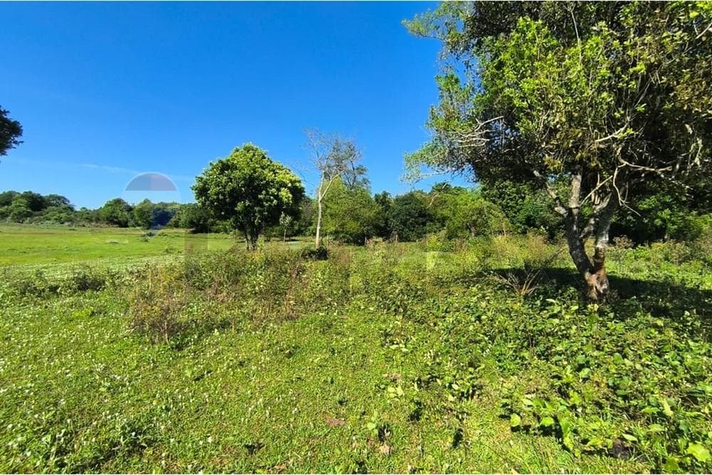 Terreno - Venta - Encarnación, Paraguay, invierte y planifica!, foto 3