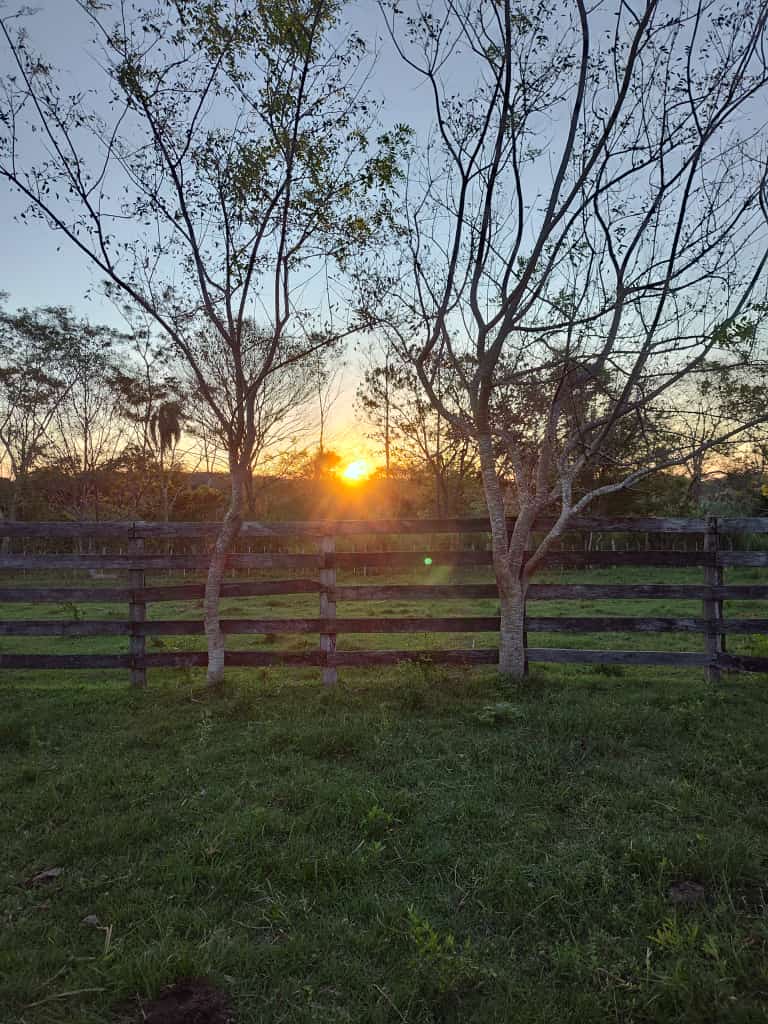 Granja, foto 4