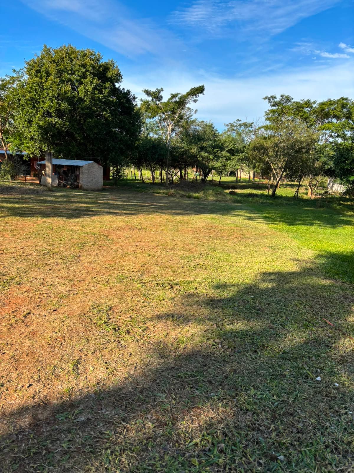 Terreno en Luque, foto 5