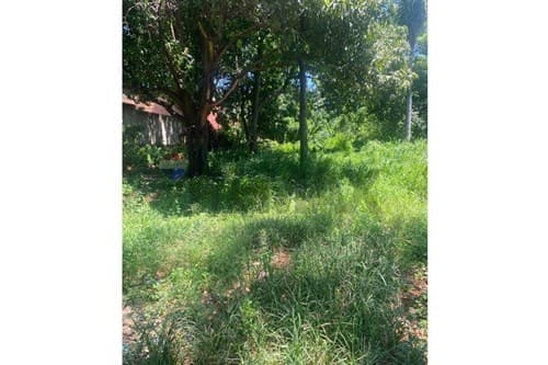Terreno de 1.000 m2 en San Lorenzo Zona Santa Ana - Ideal Comercio o Vivienda