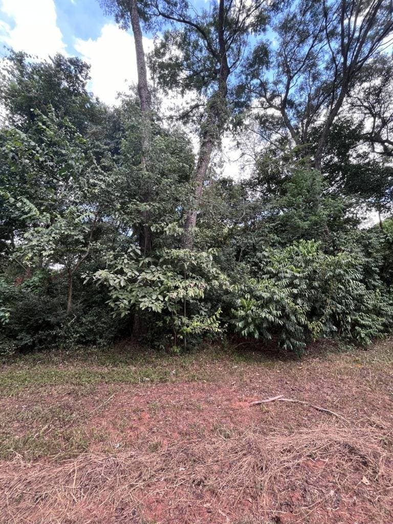 Terreno en Altos - Cordillera, foto 2
