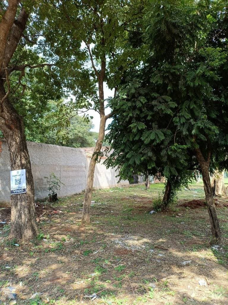 Terreno en barrio residencial de roque alonso a 400 m de la transchaco, foto 4