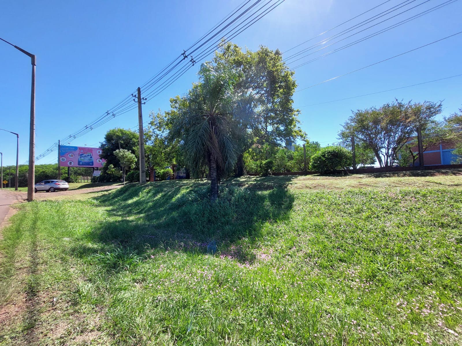 10 hectareas en Encarnación — foto 4