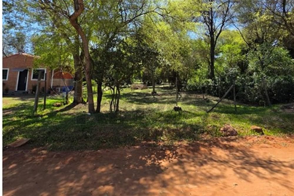 Terreno de 406.50 m² en Venta en Zárate Isla, Luque (Alta Plusvalía)