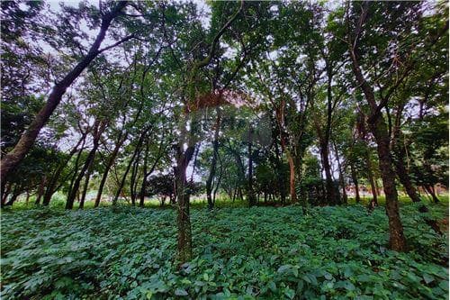 En venta - terreno +8.000m2 en san antonio, foto 1