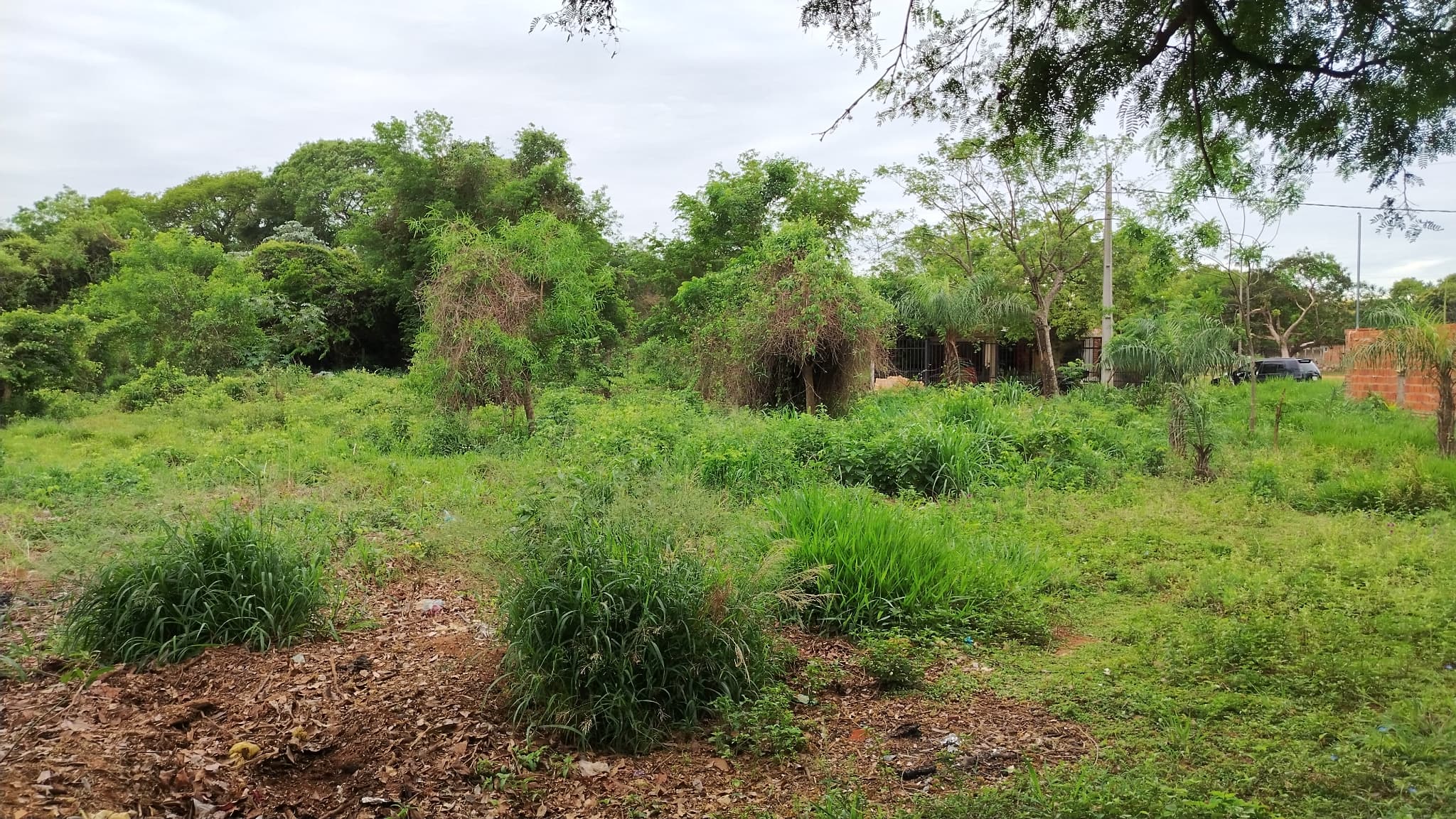 Terreno en venta en aregua (villa rosita), foto 2