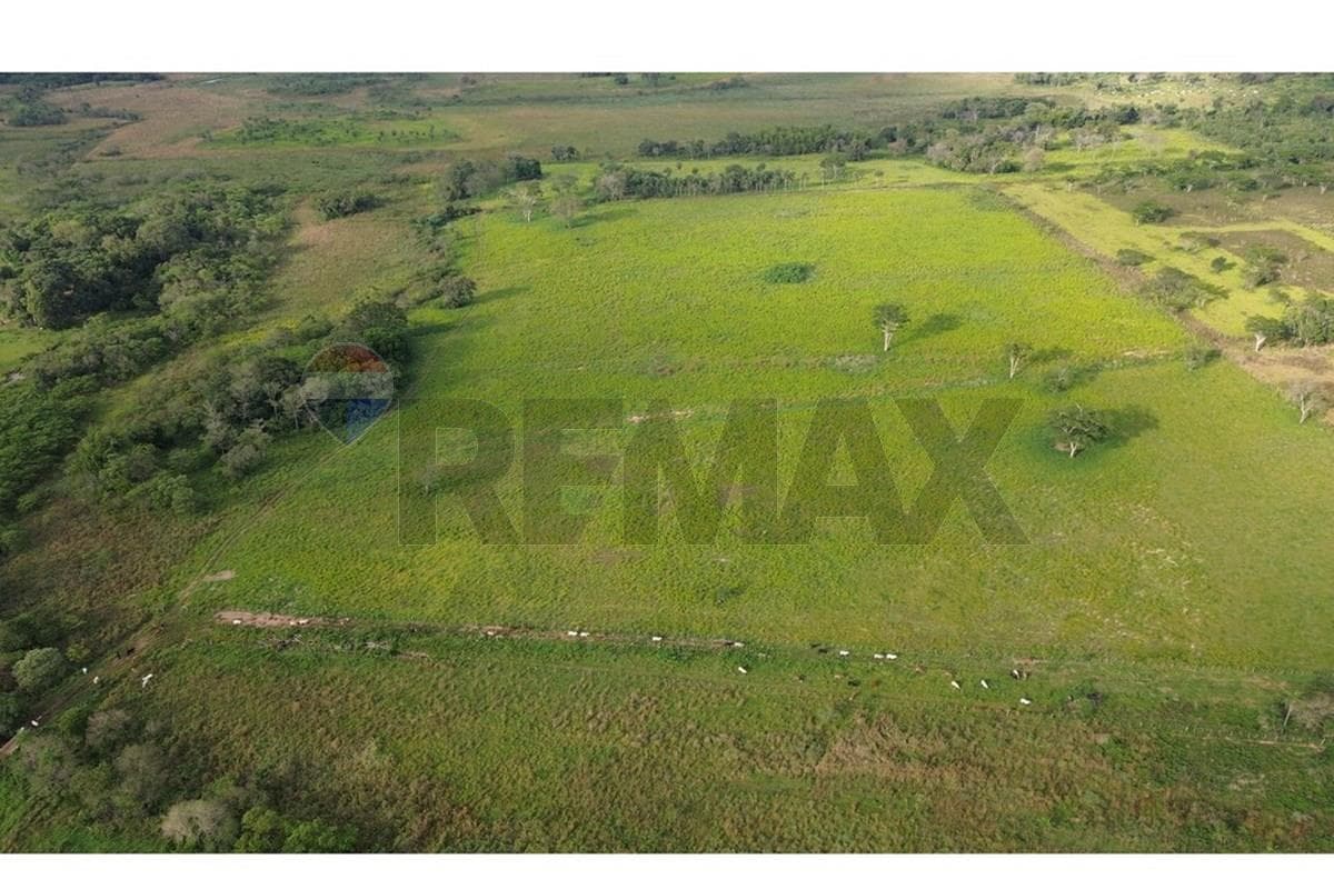 Estancia Ramonita de 368 hás. en Ybycuí, foto 3