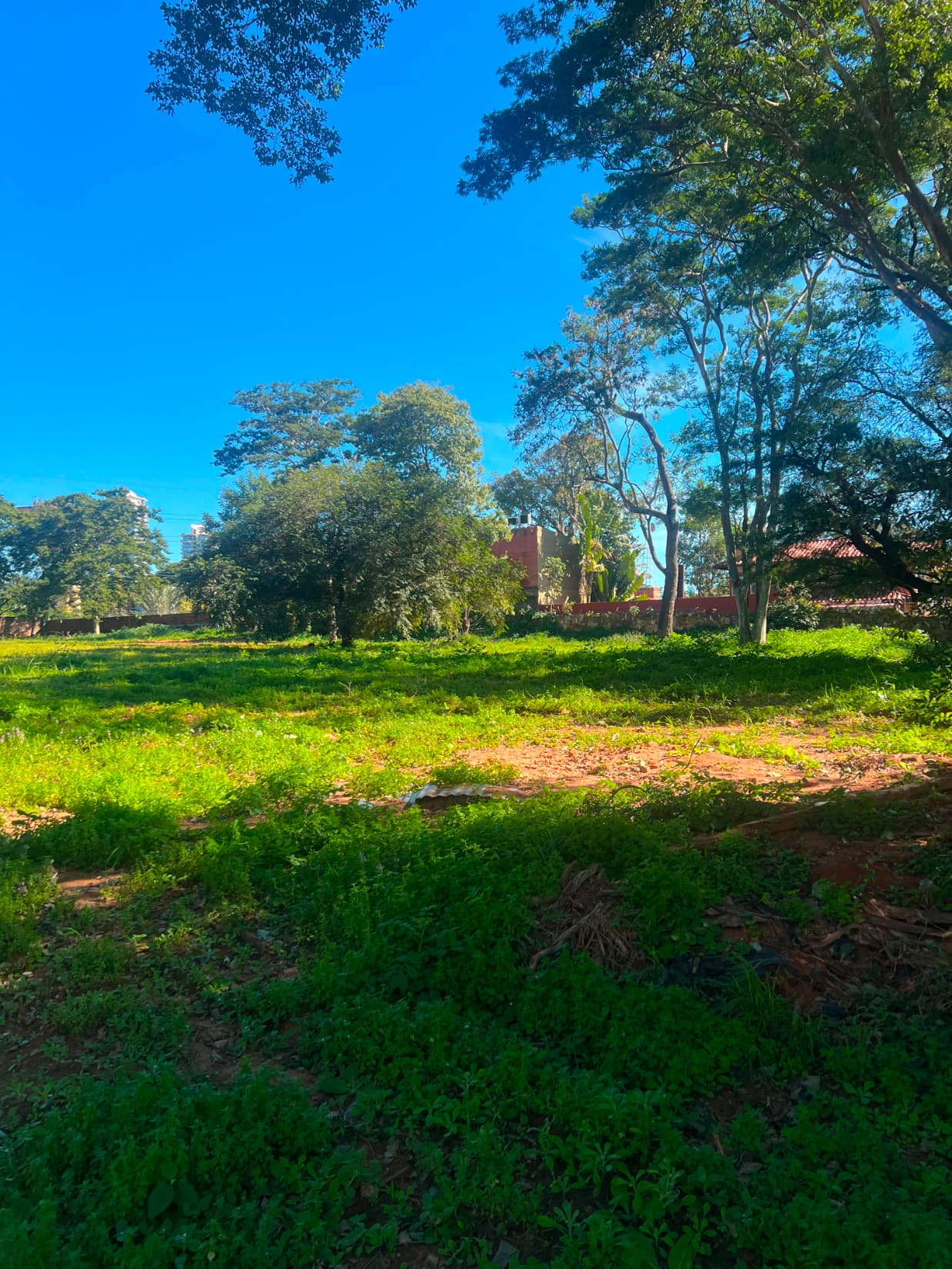 Terreno 6814m² sobre primer presidente, mburucuyá, foto 3