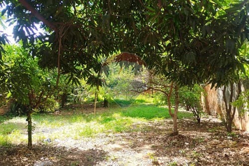 Terreno-Venta-PY Central Fernando de la Mora Kokue Guasu, foto 2