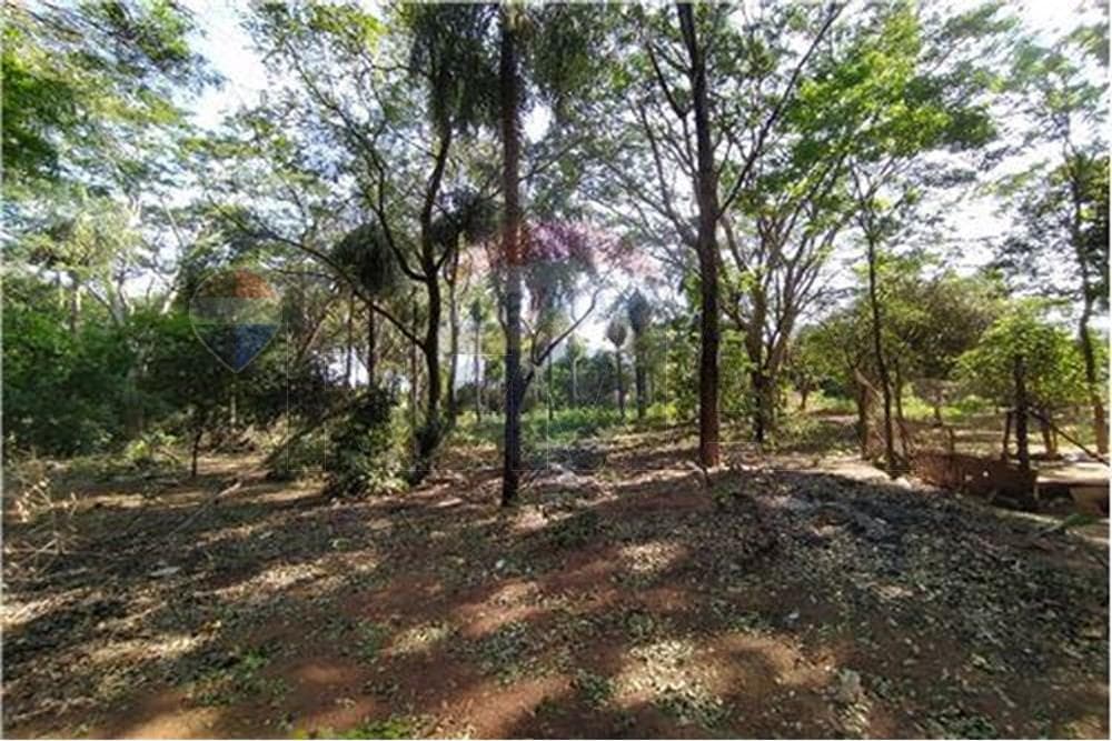 Amplio terreno en venta en barcequillo San Lorenzo, foto 2