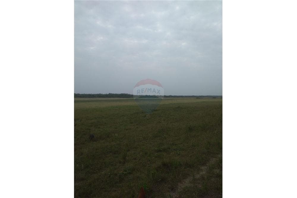 Campo 166,5 hectáreas - san pedro del ycuamandiyu, foto 4