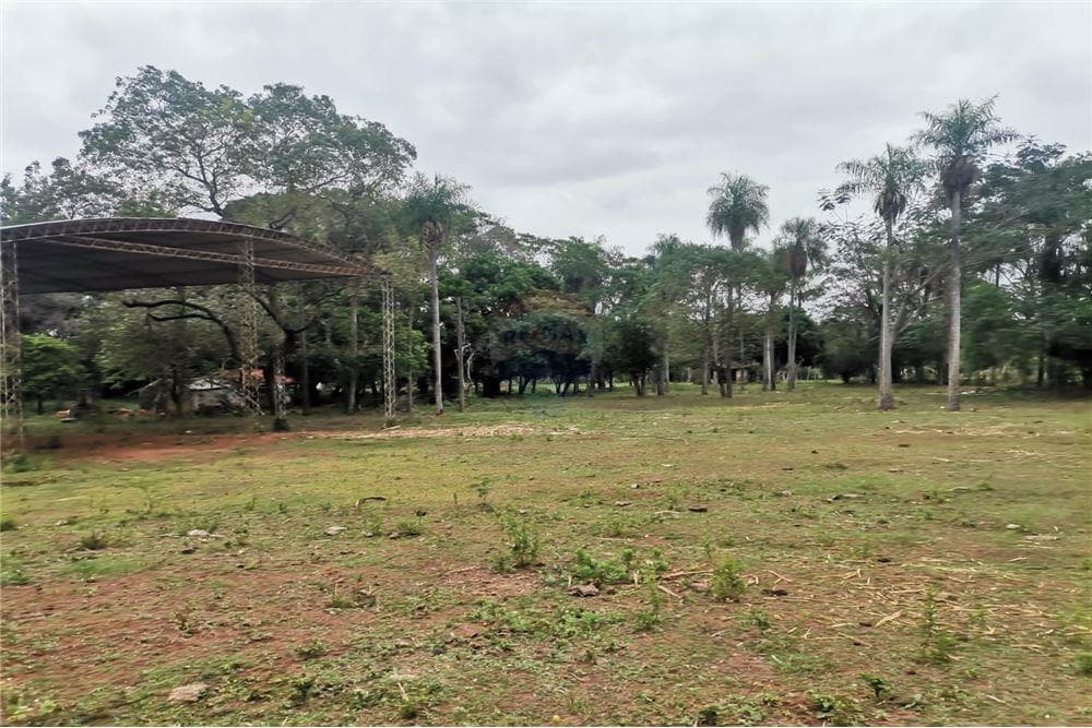 Terreno de 4 Hectareas en oferta, foto 1