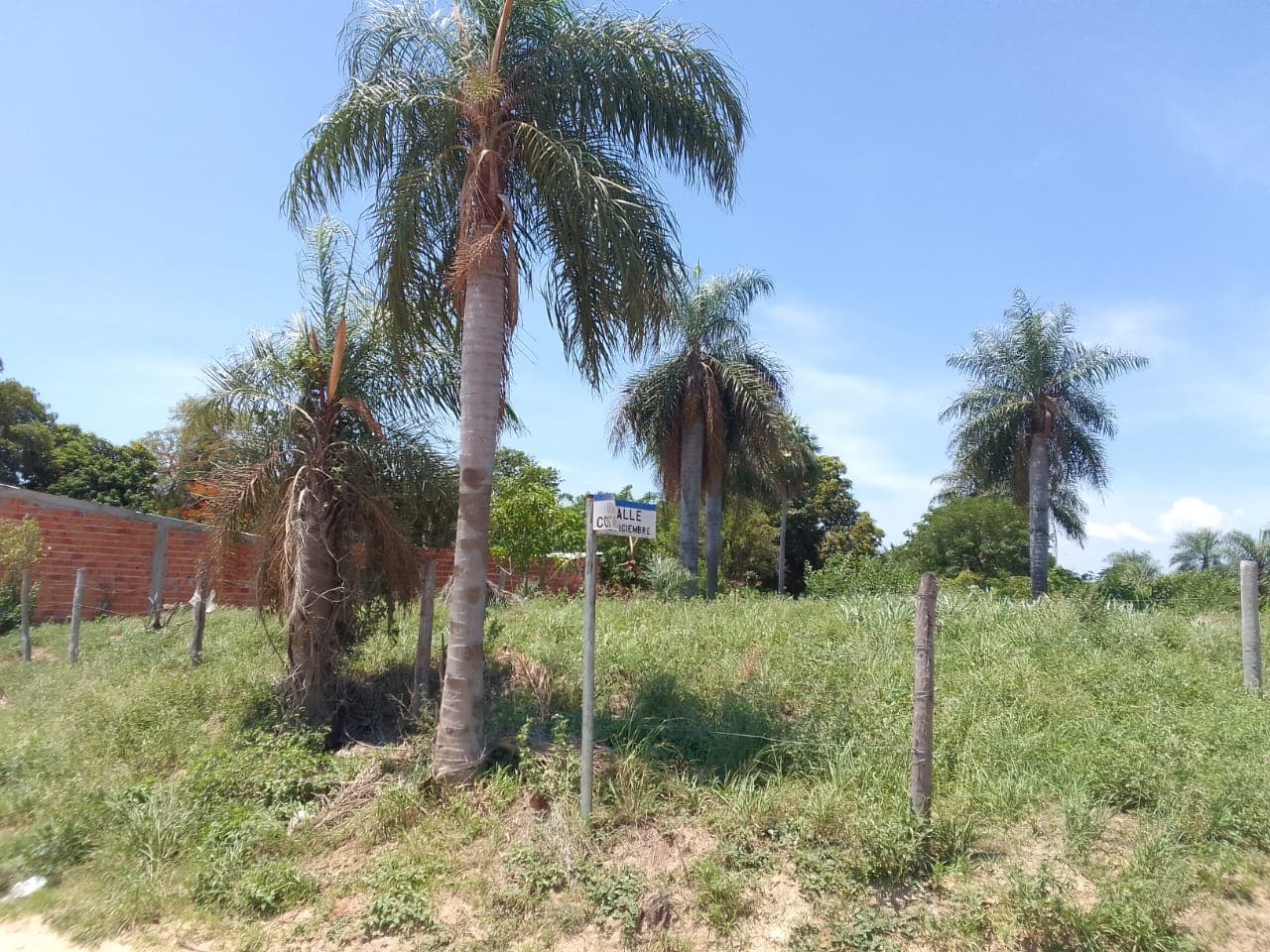 Terreno sobre el rio paraguay — foto 2