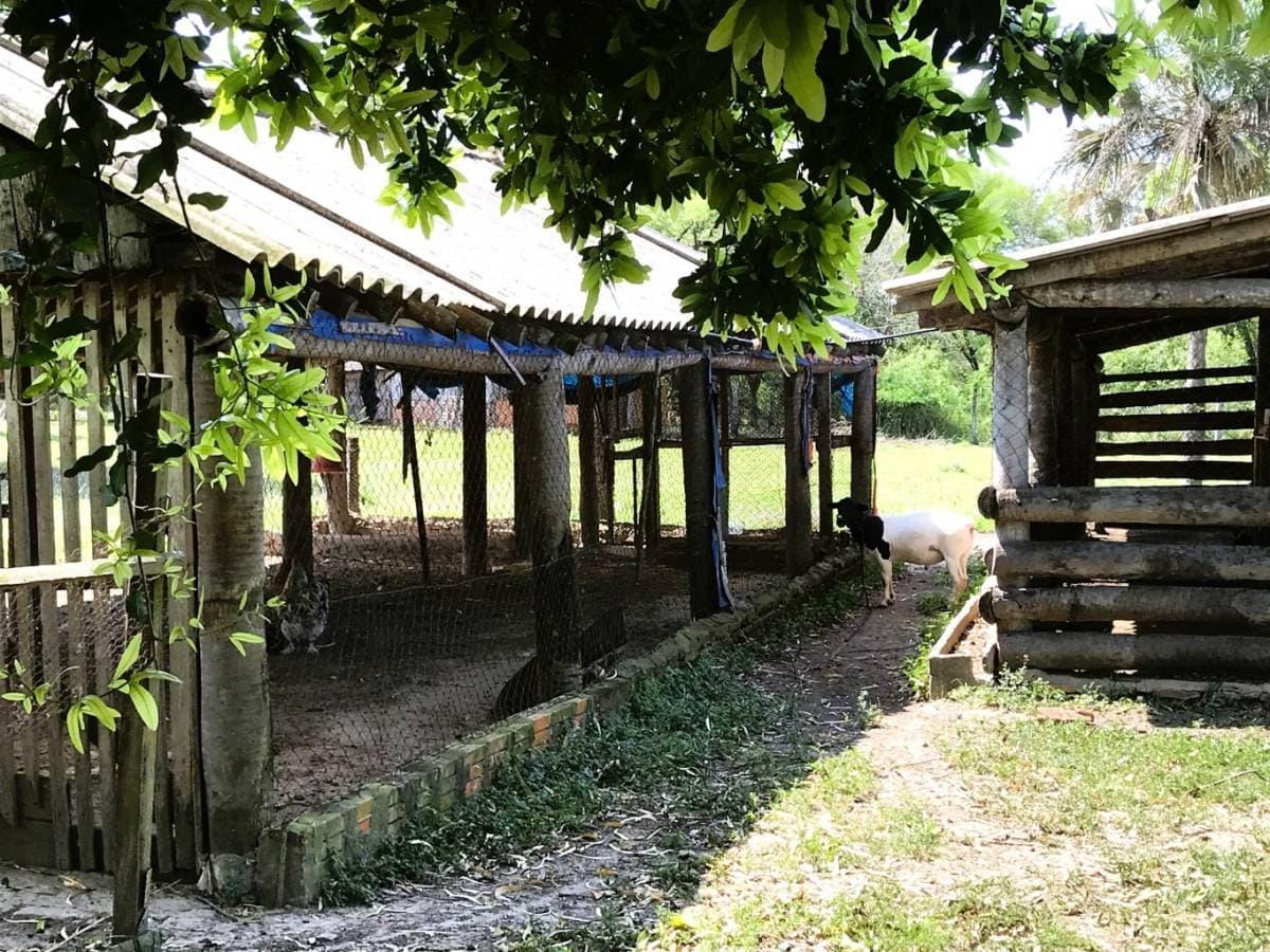 Oportunidad Única en Villeta – Granja en Venta, foto 3