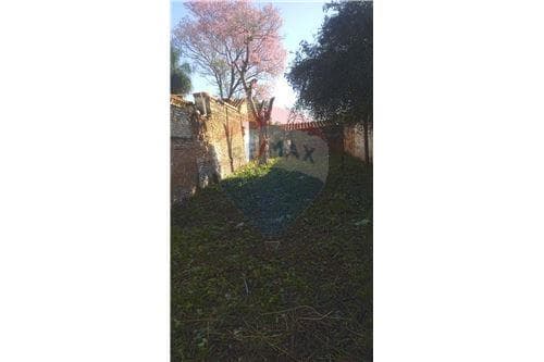 Terreno - Venta - Sajonia, foto 2