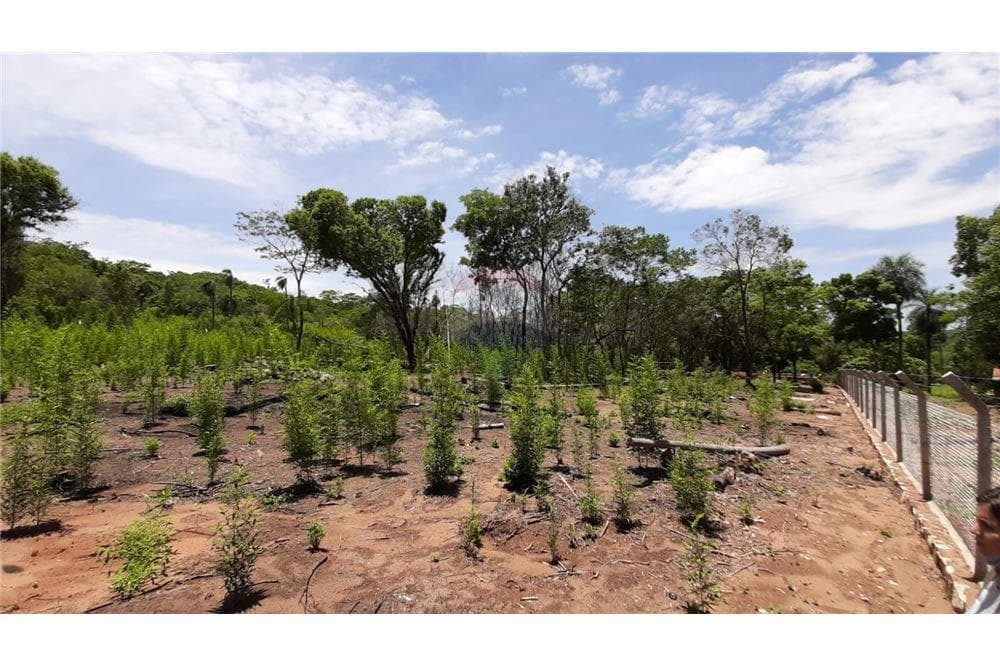 Terreno en San Bernardino ciervo cua 3.900 m2 — foto 2