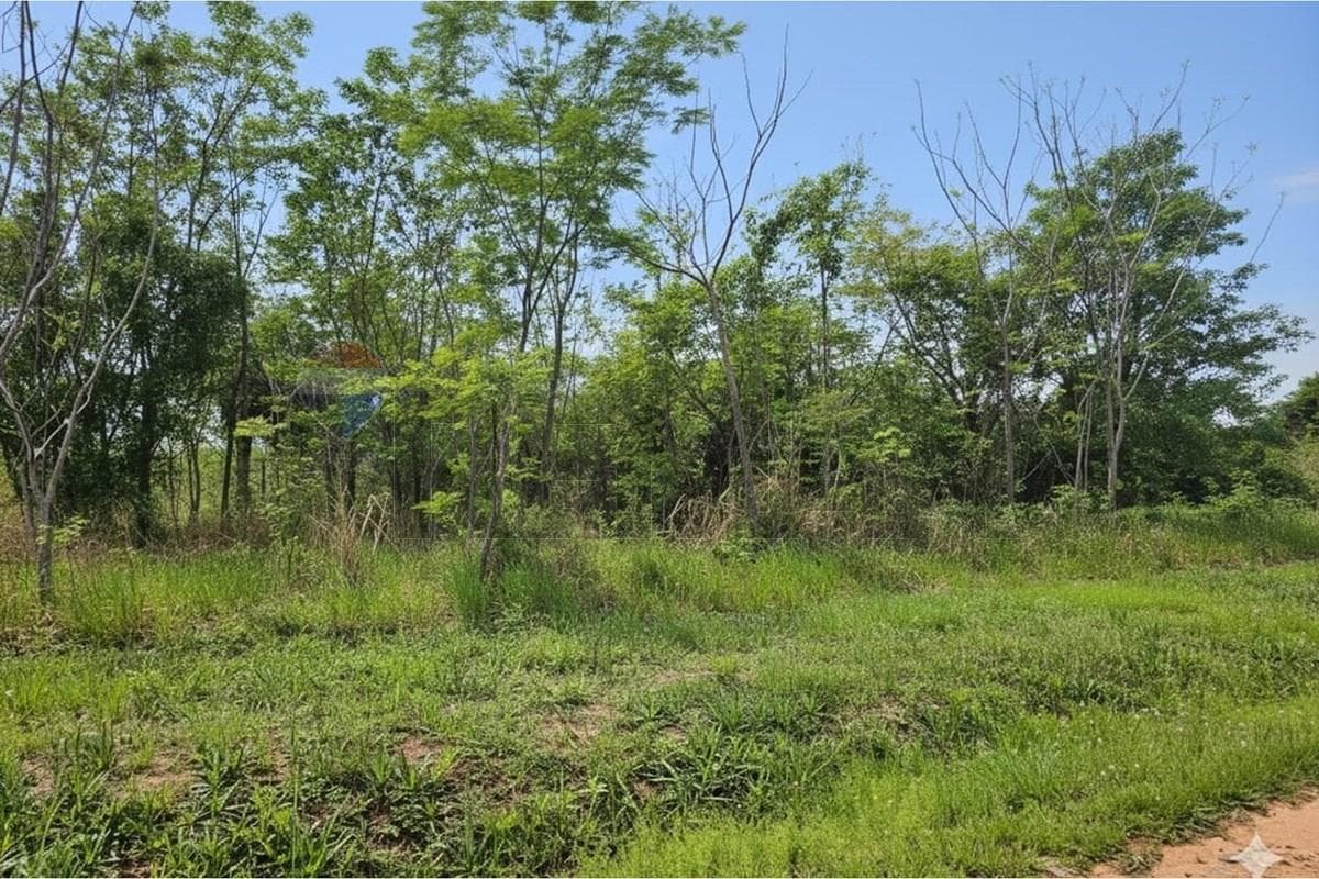 En venta. Amplio terreno - club surubi´i, foto 3
