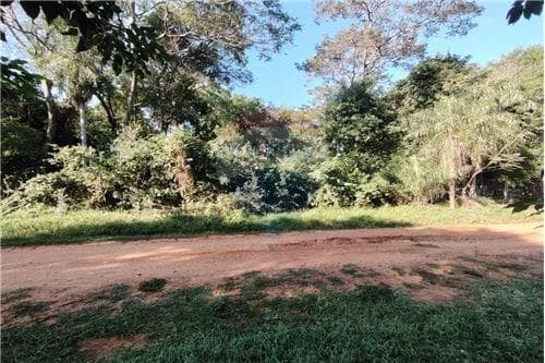 Terreno en el cortijo, foto 3