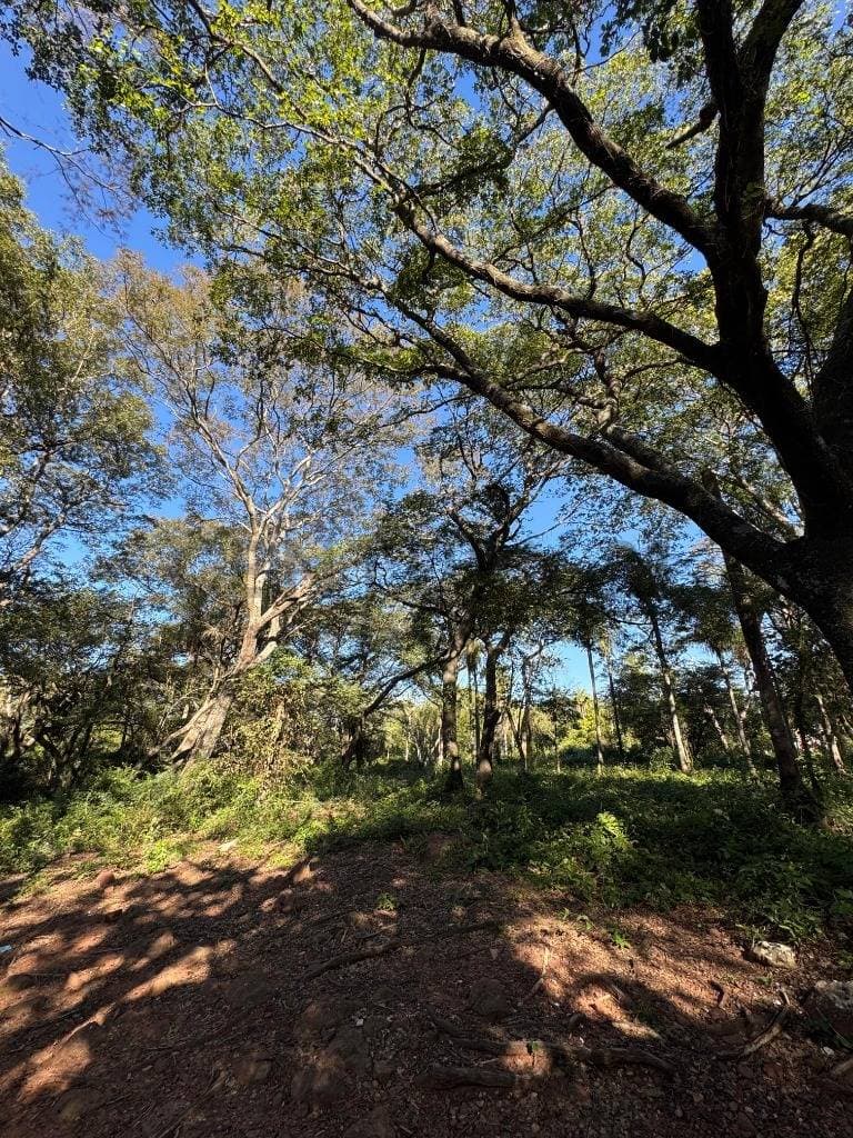 Oportunidad Única en Bosques de Hermann- Areguá