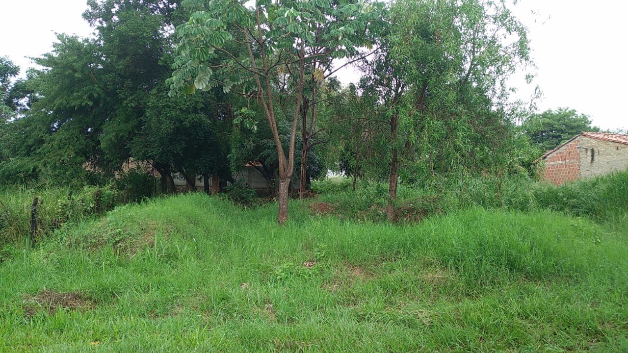 Terreno en Luque - venta, foto 2