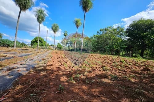 Terreno de 1 Hectarea en Ita, foto 3