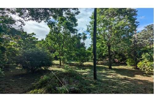 terreno en venta en villa ofelia Fernando de la Mora, foto 4
