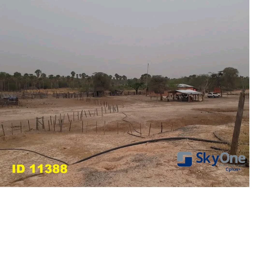 Estancia en alto paraguay-fortin florida, 1500has, foto 5