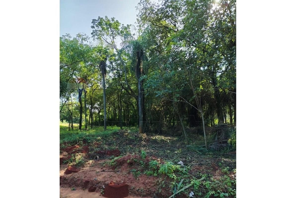 Terreno de 360 m2 en Zárate Isla, Luque, foto 3