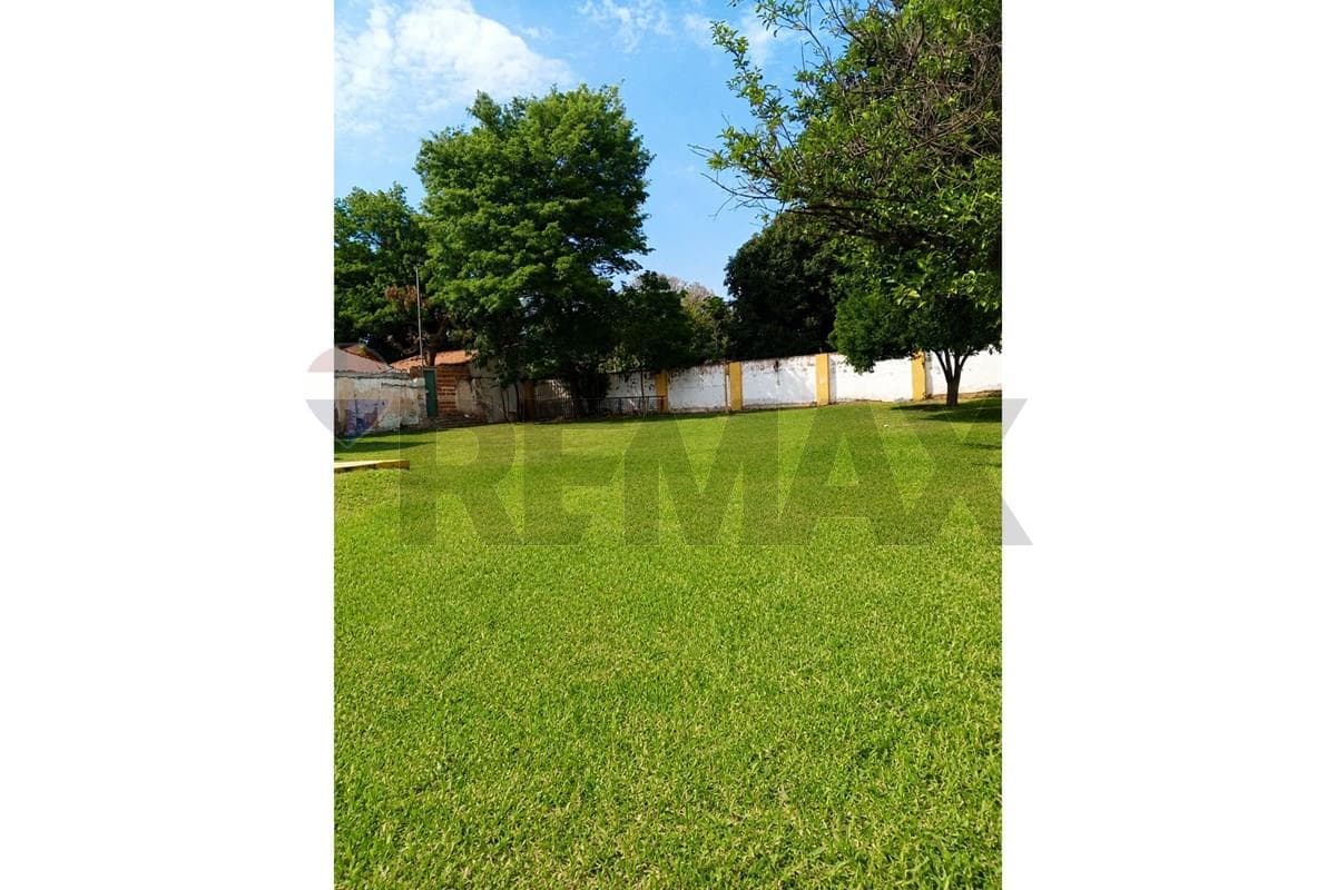 Terreno - Venta - Luque