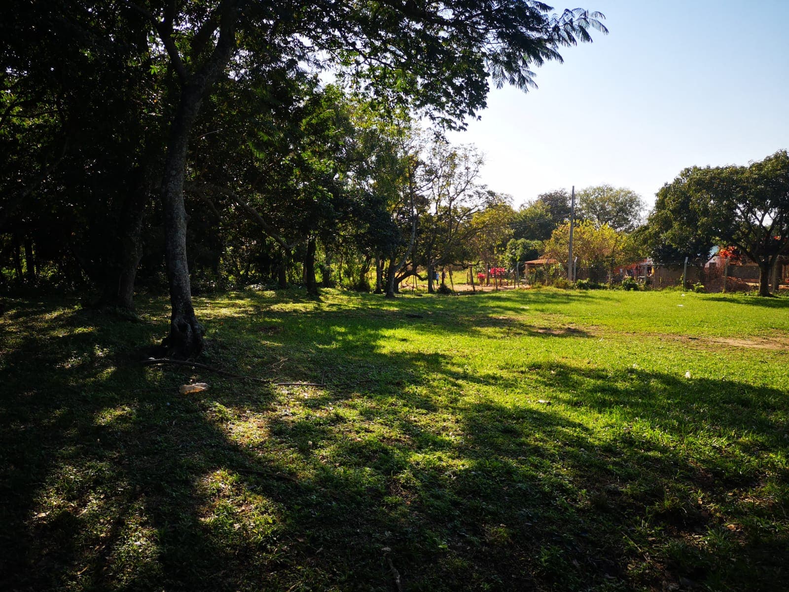 Terreno de 10.000 m2 con Tinglado en San Lorenzo-CLLA5405566, foto 4