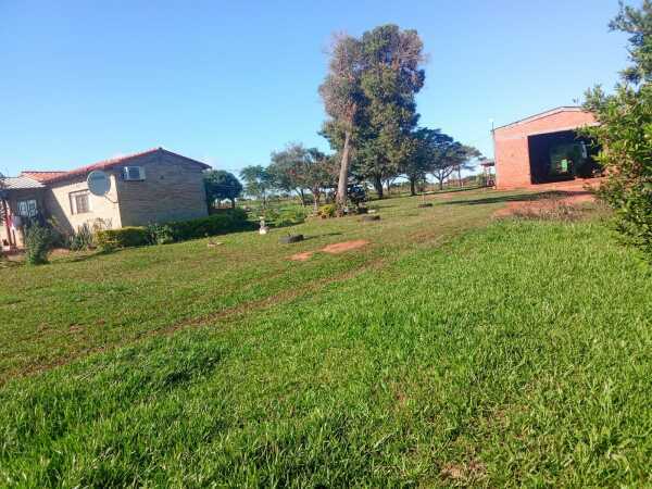 En venta hermosa propiedad rural de 50 hectáreas sobre ruta 3 canindeyú, foto 1