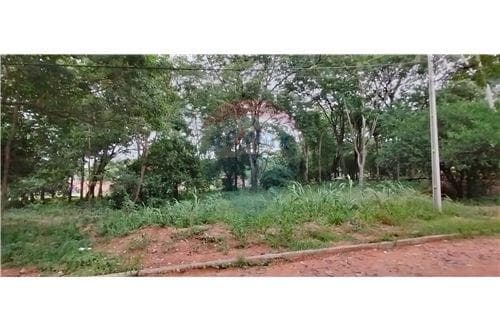 Amplio Terreno Villa Elisa - Paso Medin 802 m2, foto 3