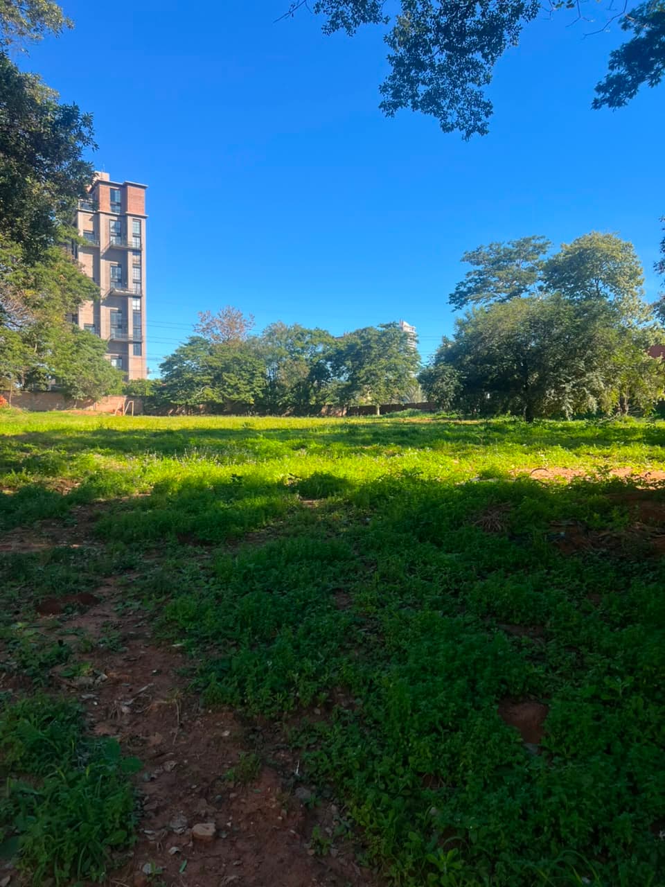 Terreno sobre Primer Presidente | 6.814 m² | Alquiler Gs. 50.000.000, foto 1