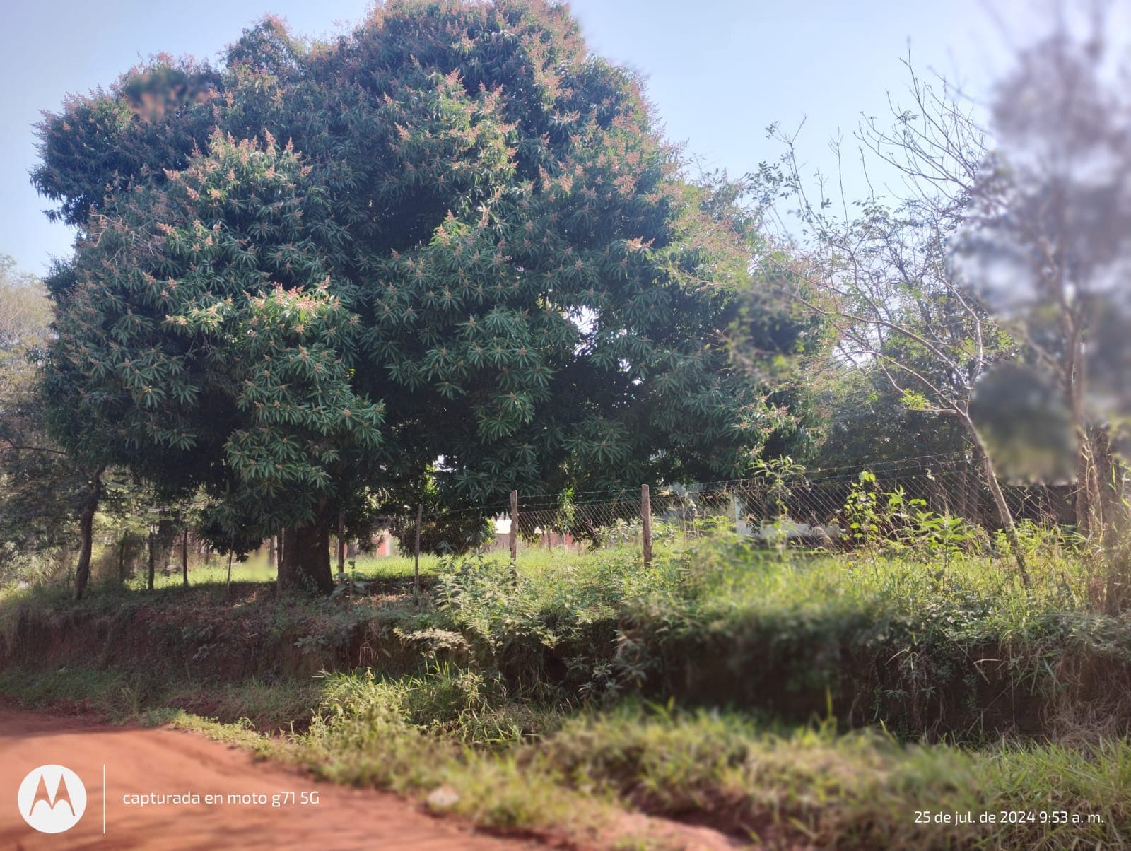 Terreno, foto 3