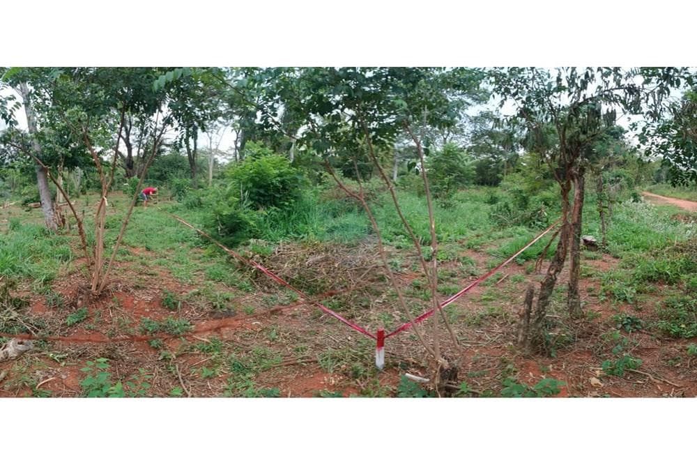 Terreno en la ciudad de Luque — foto 3