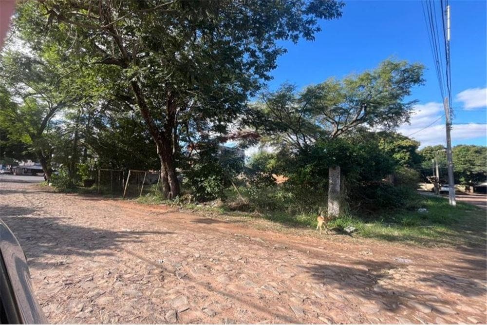 de terreno ideal para inversión o vivienda, foto 3
