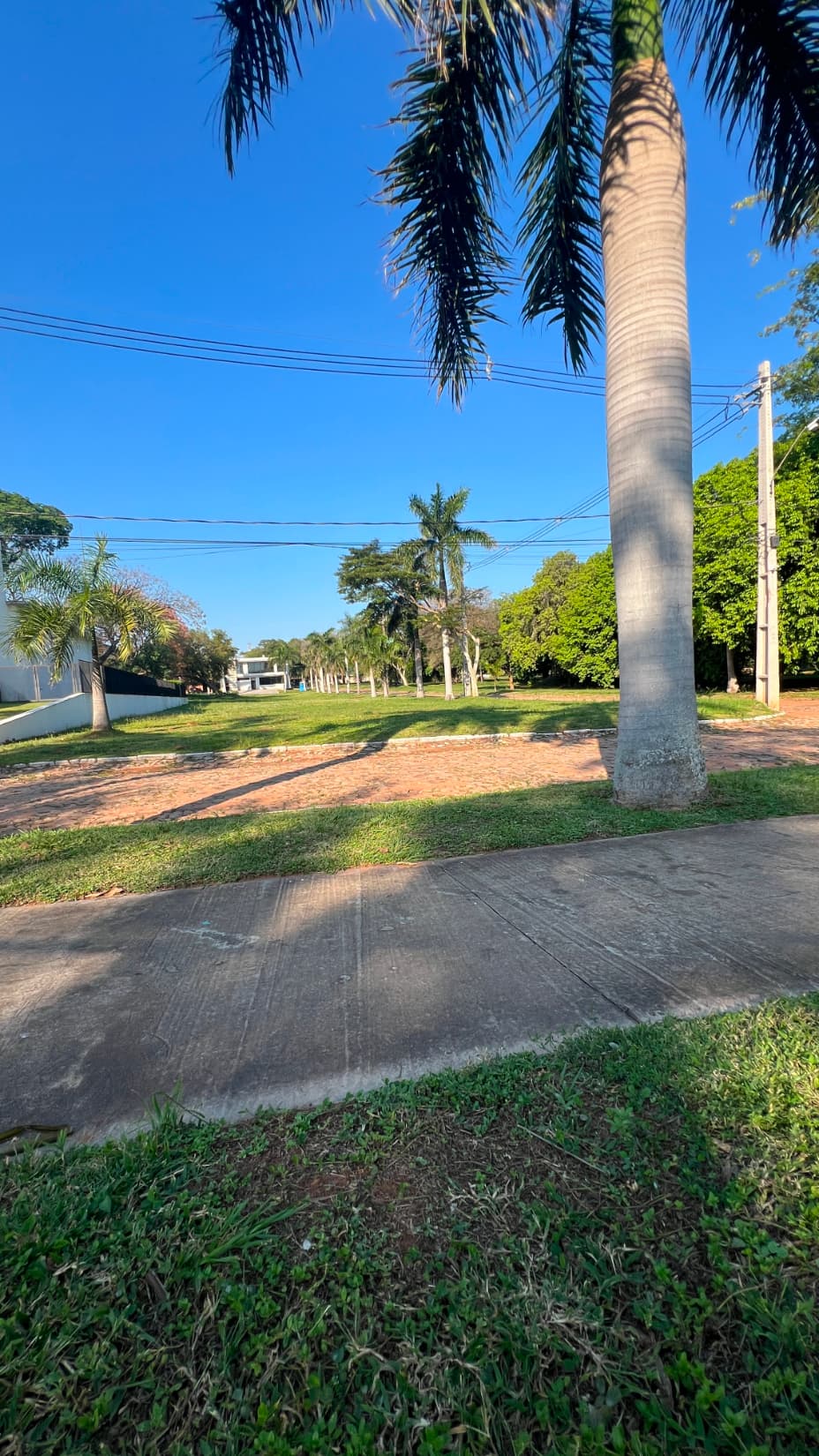 Terreno en Condominio Plaza Los Mangos Lambaré — foto 3