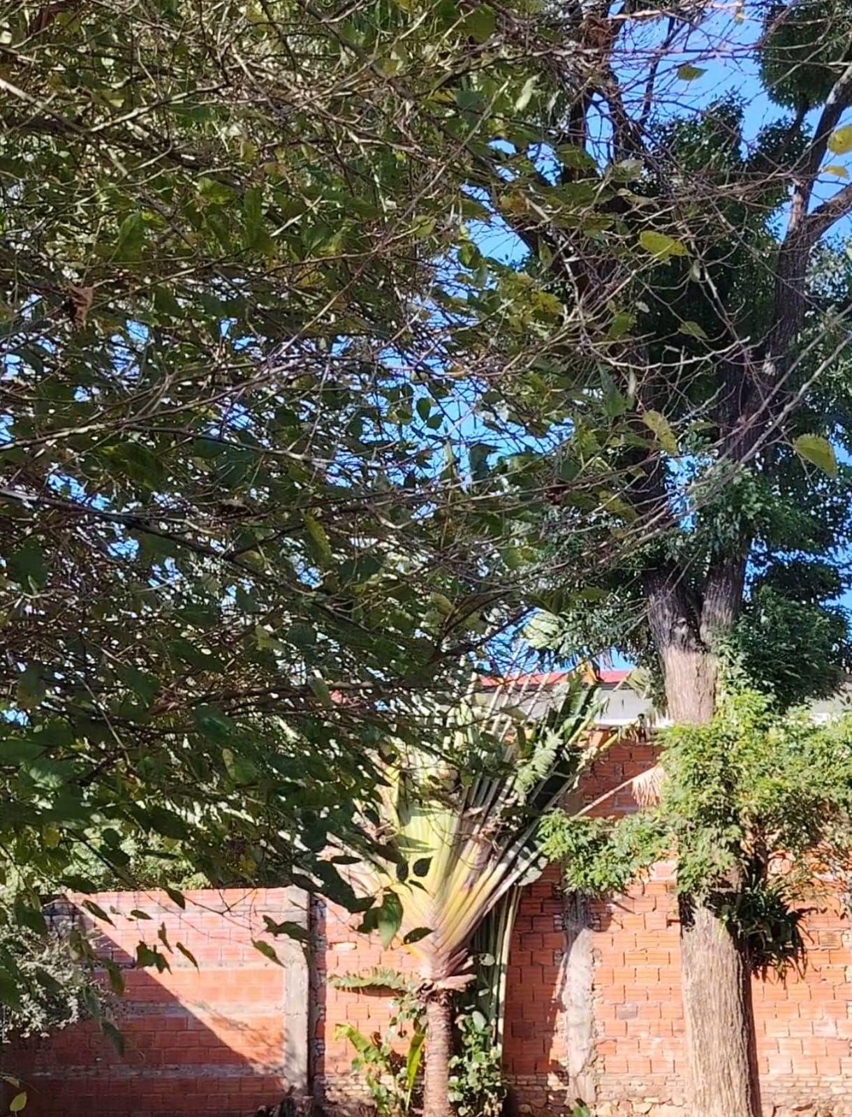 casa apmplia en la ciudad de Ñemby Caaguazu, foto 4