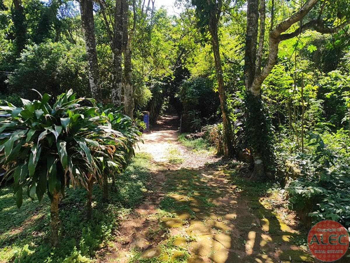 Valle De 4ha Con Casa Y Piscina Natural En Mbatoví — foto 4