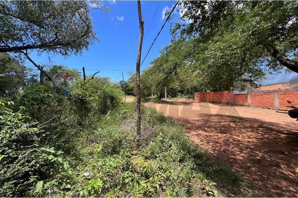 Terreno en Luque, foto 2