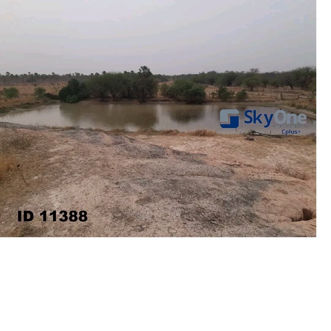 Estancia en alto paraguay-fortin florida, 1500has, foto 4